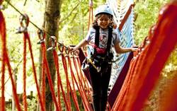 YELLOW POINT - LANOVÝ PARK KATIKA MITI